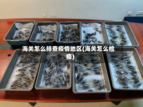 海关怎么排查疫情地区(海关怎么检疫)
