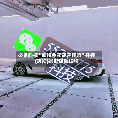 必备科技“血拼金花能开挂吗”开挂(透视)最新辅助详细-第2张图片