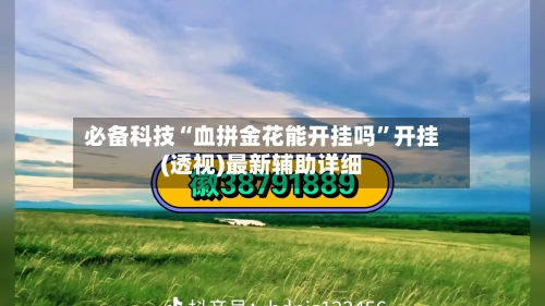必备科技“血拼金花能开挂吗”开挂(透视)最新辅助详细-第3张图片