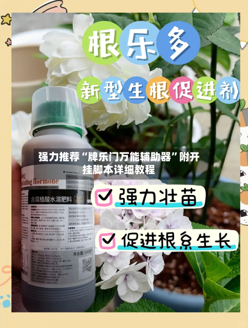 强力推荐“牌乐门万能辅助器”附开挂脚本详细教程