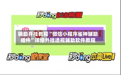 辅助开挂教程“微信小程序雀神辅助插件”详细外挂透视辅助软件教程-第3张图片