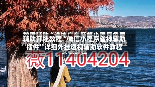 辅助开挂教程“微信小程序雀神辅助插件”详细外挂透视辅助软件教程-第2张图片