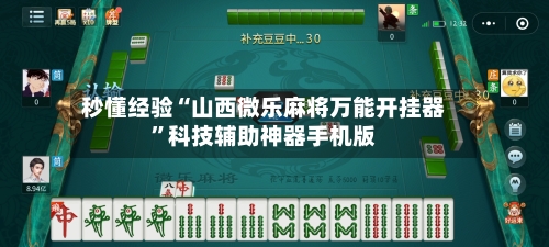 秒懂经验“山西微乐麻将万能开挂器”科技辅助神器手机版-第3张图片