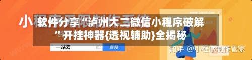软件分享“泸州大二微信小程序破解”开挂神器{透视辅助}全揭秘-第3张图片