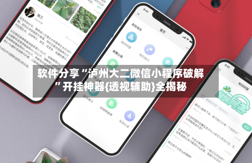 软件分享“泸州大二微信小程序破解”开挂神器{透视辅助}全揭秘