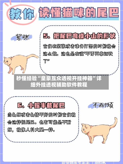 秒懂经验“皇豪互众透视开挂神器	”详细外挂透视辅助软件教程-第2张图片