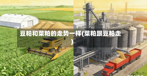 豆粕和菜粕的走势一样(菜粕跟豆粕走)
