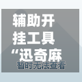 辅助开挂工具“迅奇麻将斗牛开挂神器”详细外挂透视辅助软件教程-第2张图片