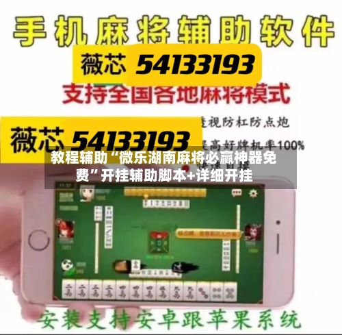教程辅助“微乐湖南麻将必赢神器免费”开挂辅助脚本+详细开挂-第2张图片