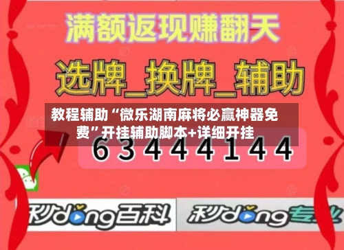 教程辅助“微乐湖南麻将必赢神器免费”开挂辅助脚本+详细开挂-第3张图片