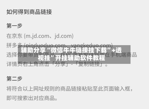 辅助分享“微信牛牛链接挂下载”+透视挂”开挂辅助软件教程-第2张图片
