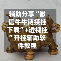 辅助分享“微信牛牛链接挂下载”+透视挂	”开挂辅助软件教程-第3张图片