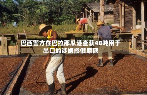 巴西警方在巴拉那瓜港查获48吨用于出口的涉嫌掺假原糖-第2张图片