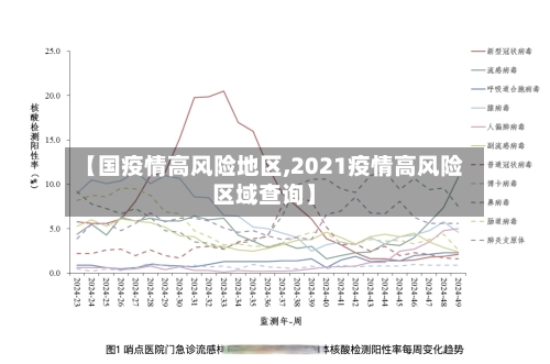【国疫情高风险地区,2021疫情高风险区域查询】-第3张图片