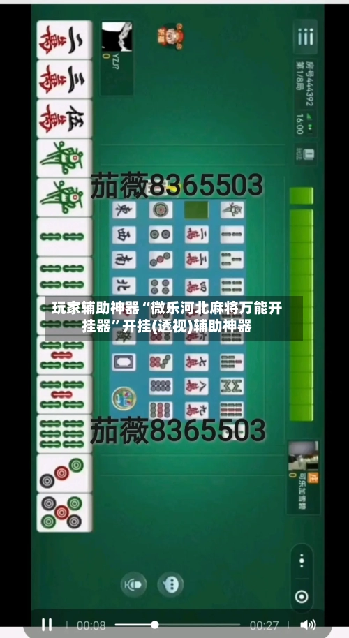 玩家辅助神器“微乐河北麻将万能开挂器”开挂(透视)辅助神器-第2张图片