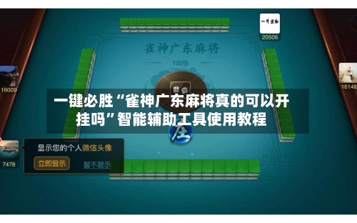 一键必胜“雀神广东麻将真的可以开挂吗”智能辅助工具使用教程-第2张图片