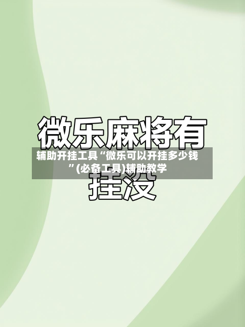 辅助开挂工具“微乐可以开挂多少钱”(必备工具)辅助教学-第2张图片