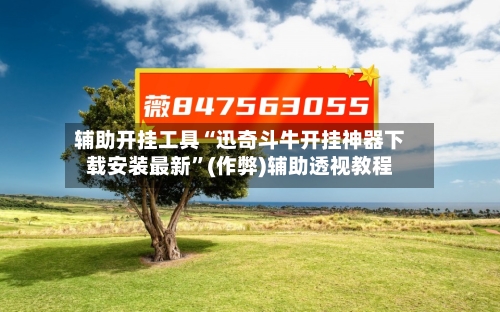 辅助开挂工具“迅奇斗牛开挂神器下载安装最新”(作弊)辅助透视教程-第2张图片