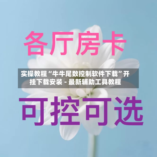 实操教程“牛牛尾数控制软件下载”开挂下载安装 - 最新辅助工具教程