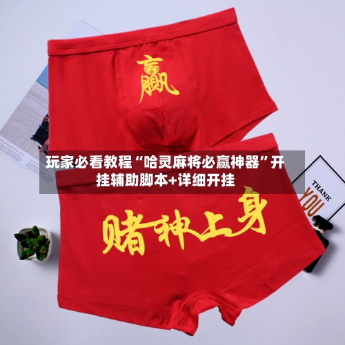 玩家必看教程“哈灵麻将必赢神器”开挂辅助脚本+详细开挂-第2张图片