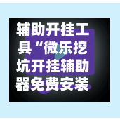 辅助开挂工具“微乐挖坑开挂辅助器免费安装下载”(透视挂)辅助下载教程-第2张图片