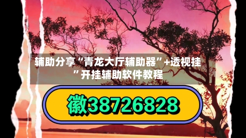 辅助分享“青龙大厅辅助器”+透视挂”开挂辅助软件教程-第2张图片