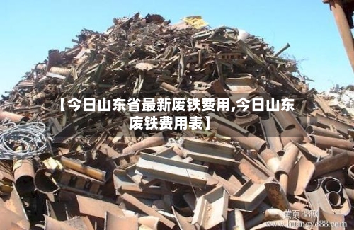 【今日山东省最新废铁费用,今日山东废铁费用表】