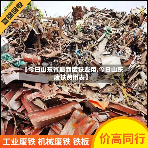 【今日山东省最新废铁费用,今日山东废铁费用表】-第3张图片