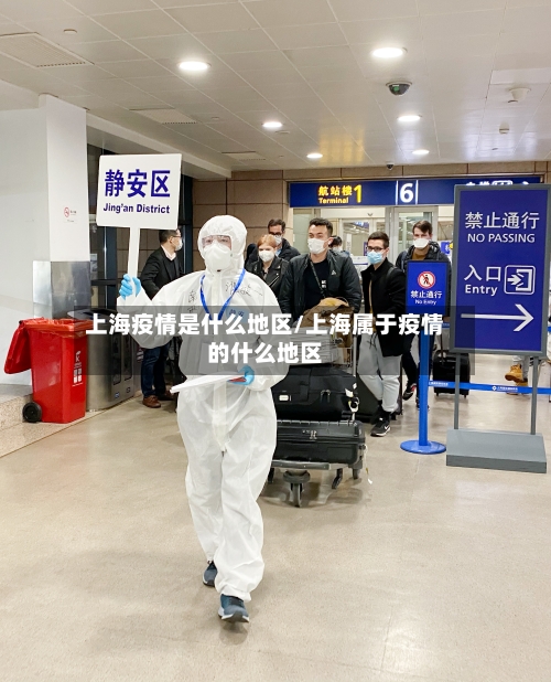 上海疫情是什么地区/上海属于疫情的什么地区-第3张图片