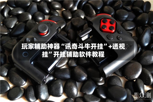 玩家辅助神器“讯奇斗牛开挂”+透视挂”开挂辅助软件教程-第3张图片