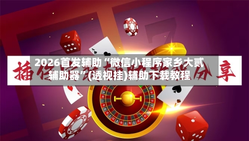2026首发辅助“微信小程序家乡大贰辅助器”(透视挂)辅助下载教程-第2张图片
