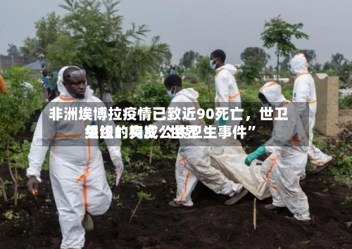 非洲埃博拉疫情已致近90死亡	，世卫组织：构成“世界关注的突发公共卫生事件	”-第2张图片