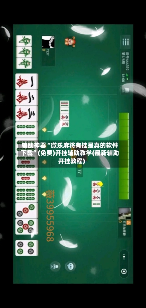 辅助神器“微乐麻将有挂是真的软件下载	”(免费)开挂辅助教学(最新辅助开挂教程)-第2张图片