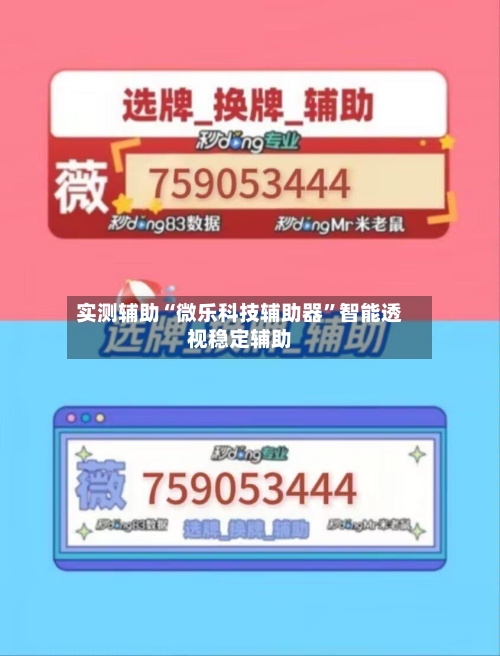 实测辅助“微乐科技辅助器”智能透视稳定辅助