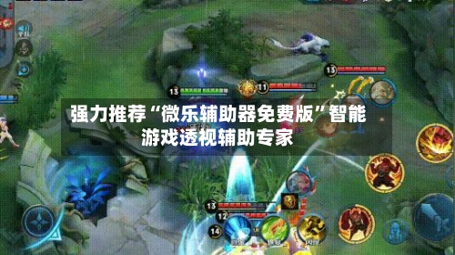 强力推荐“微乐辅助器免费版”智能游戏透视辅助专家