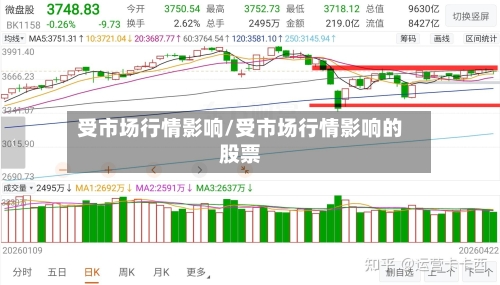 受市场行情影响/受市场行情影响的股票