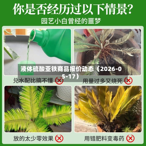 液体硫酸亚铁商品报价动态（2026-05-17）