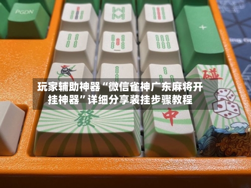 玩家辅助神器“微信雀神广东麻将开挂神器	”详细分享装挂步骤教程-第2张图片