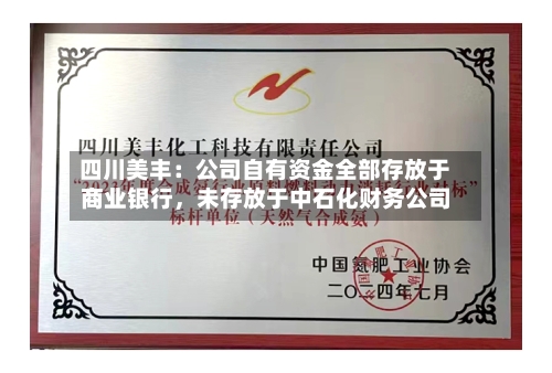 四川美丰：公司自有资金全部存放于商业银行，未存放于中石化财务公司-第2张图片