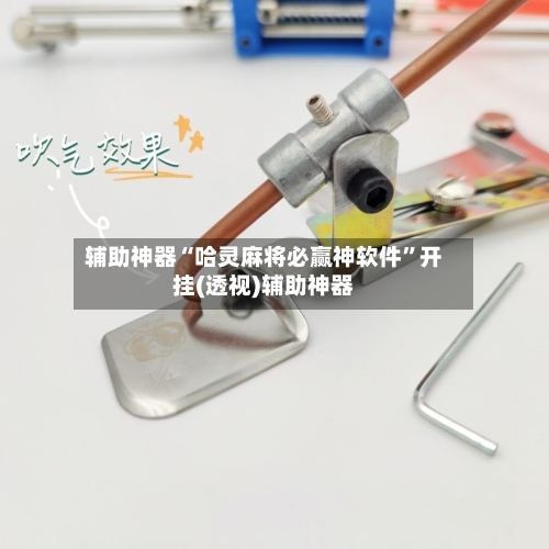 辅助神器“哈灵麻将必赢神软件”开挂(透视)辅助神器-第2张图片
