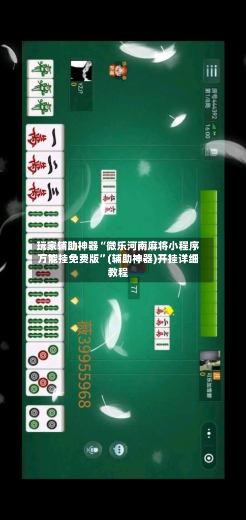 玩家辅助神器“微乐河南麻将小程序万能挂免费版”(辅助神器)开挂详细教程-第2张图片