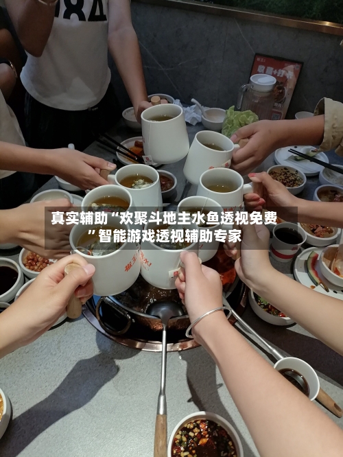 真实辅助“欢聚斗地主水鱼透视免费”智能游戏透视辅助专家-第3张图片