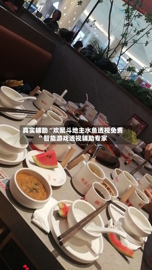 真实辅助“欢聚斗地主水鱼透视免费”智能游戏透视辅助专家-第2张图片