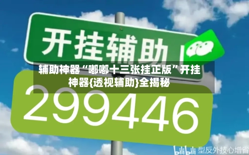 辅助神器“嘟嘟十三张挂正版”开挂神器{透视辅助}全揭秘