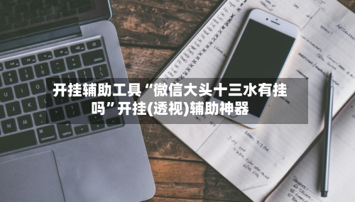 开挂辅助工具“微信大头十三水有挂吗	”开挂(透视)辅助神器-第2张图片