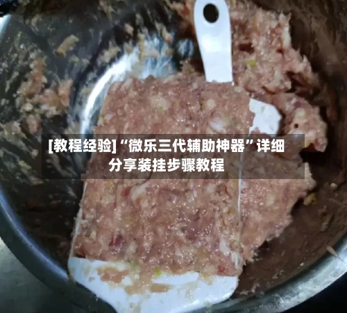 [教程经验]“微乐三代辅助神器	”详细分享装挂步骤教程-第2张图片