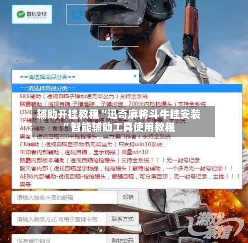 辅助开挂教程“迅奇麻将斗牛挂安装”智能辅助工具使用教程-第2张图片