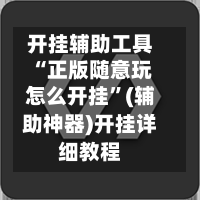开挂辅助工具“正版随意玩怎么开挂	”(辅助神器)开挂详细教程-第3张图片