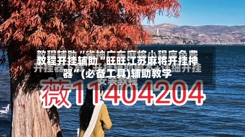 教程开挂辅助“旺旺江苏麻将开挂神器”(必备工具)辅助教学-第3张图片