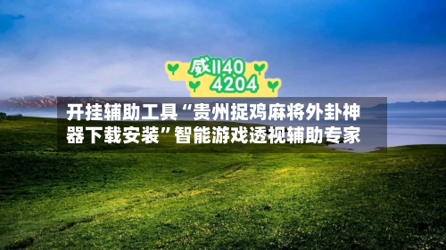 开挂辅助工具“贵州捉鸡麻将外卦神器下载安装”智能游戏透视辅助专家-第2张图片